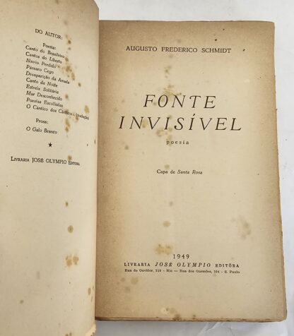Fonte Invisível - 1ª Edição - Image 2