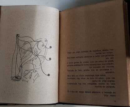 Poemas Narrativos - Autografado - Image 4