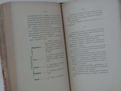 Pedagogia Paulista - A Escola Pública - Image 2
