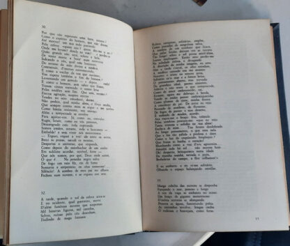 Revisão de Sousândrade - Image 3