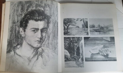 Mário Zanini - Catálogo Organizador - Image 2