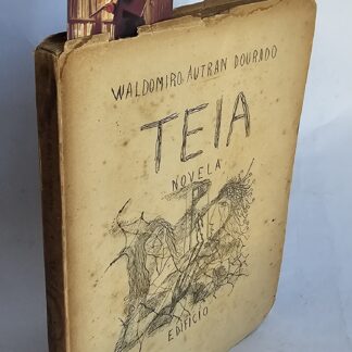 Teia - 1a Edição
