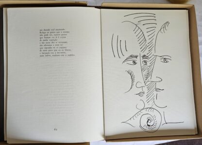 A Paixão Medida - Ilustrado - Image 6