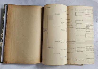 Genealogia Paulistana - 9 Volumes - Image 7