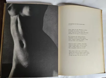O Mergulhador - Assinado - Image 4
