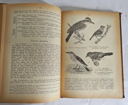 Da Vida Dos Nossos Animais - Image 3