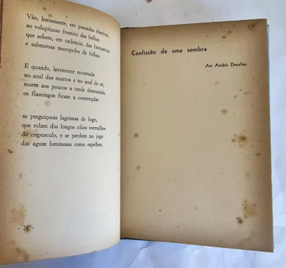 Cidades Submersas - Image 4