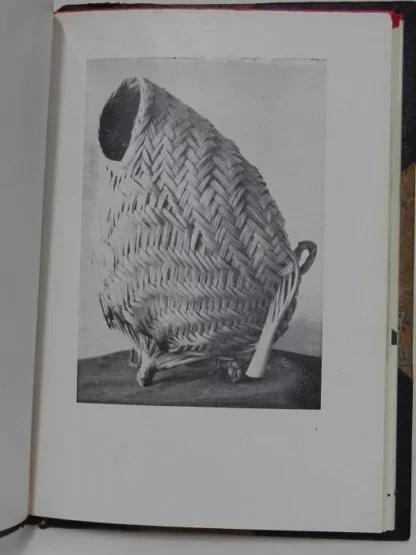 Arte Indígena da Amazônia - Image 4