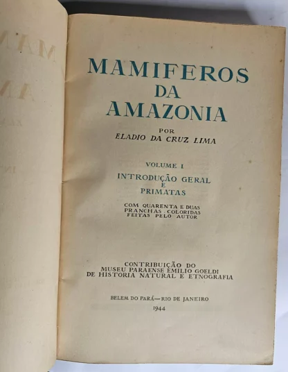 Mamíferos da Amazônia - Image 2