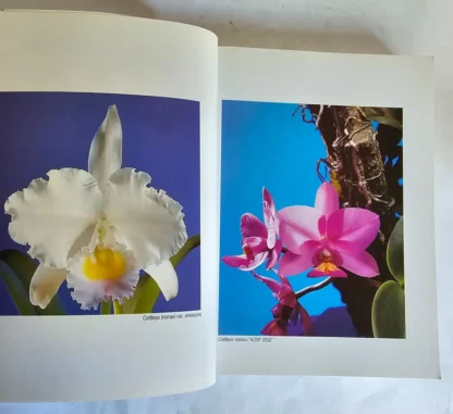 Orquídeas - Manual de Cultivo - Image 2