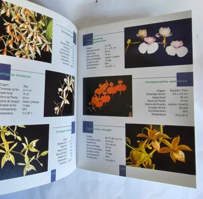 Orquídeas - Manual de Cultivo - Image 3