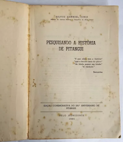 Pesquisando a História de Pitangui - Image 2