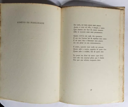 Amor, Canto Primeiro - Image 4