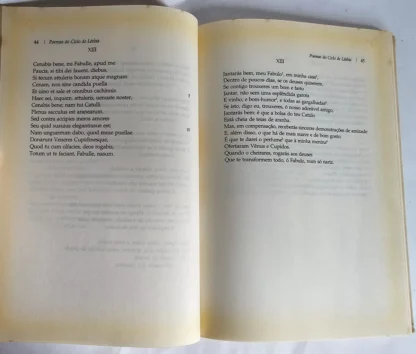 O Cancioneiro de Lésbia - Image 3