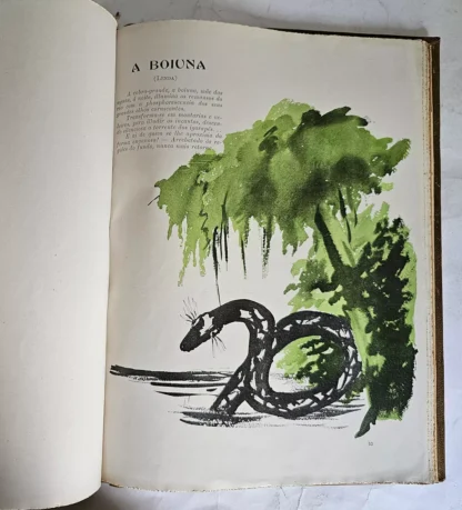 Muirakitans - Poemas do Paraíso Verde - Image 5