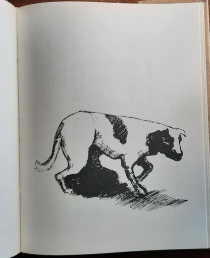 Vidas Secas - Confraria dos Bibliófilos - Image 5