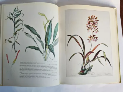 Em Busca das Flores da Floresta Amazônica - Image 2