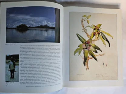 Em Busca das Flores da Floresta Amazônica - Image 5