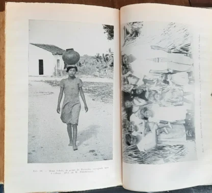 Etnologia Brasileira - Image 3