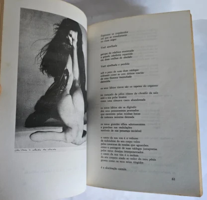 A Alta Licenciosidade - Image 2