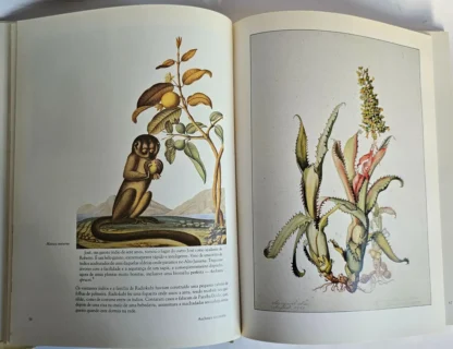 Em Busca das Flores da Floresta Amazônica - Image 3