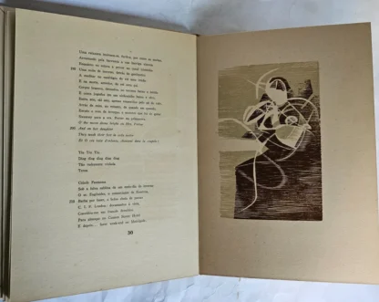 A Terra Inútil - Coleção Maldoror - Image 4