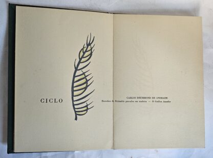 Ciclo - Image 2