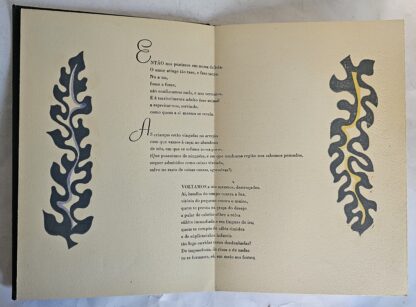 Ciclo - Image 4