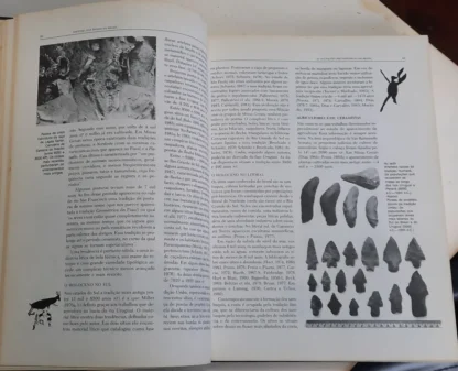 História dos Índios no Brasil - Image 3
