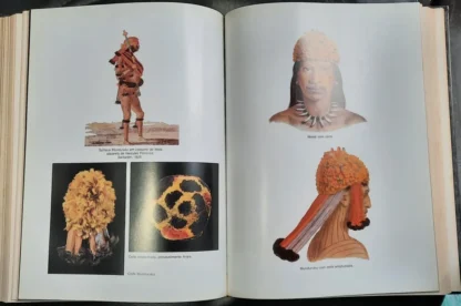 História dos Índios no Brasil - Image 5