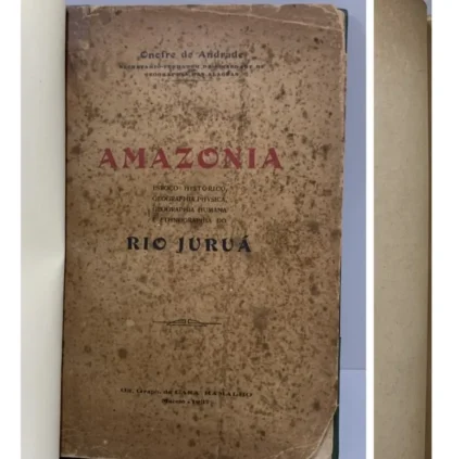 Amazônia - Rio Juruá - Image 2