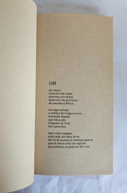 A Cor da Pele - Image 3