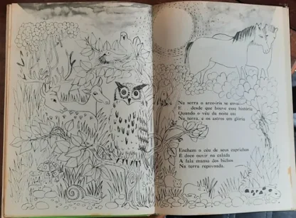 A Arca de Noé - 1ª Edição - Ilustrado - Image 5