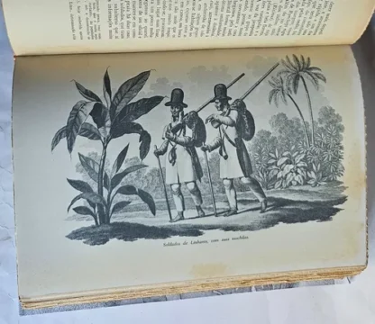 Viagem ao Brasil - Image 4