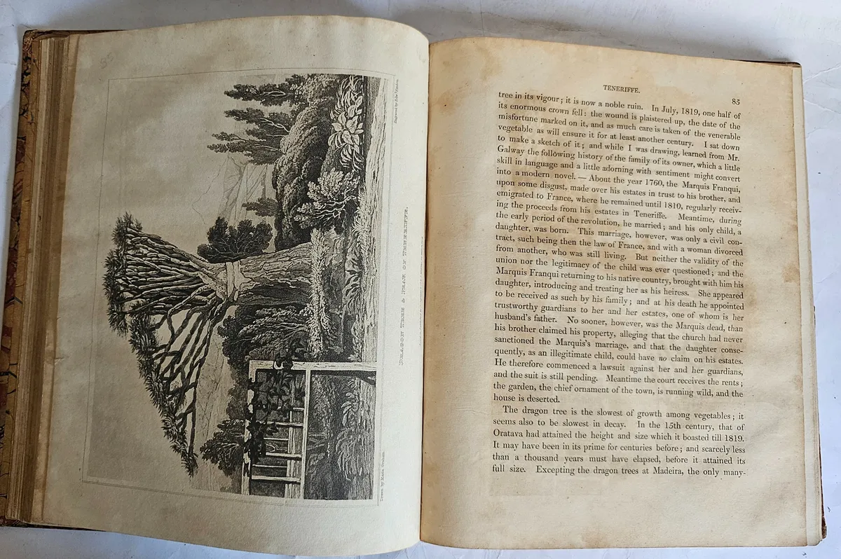 Journal df A Voyage to Brazil - 1ª Edição - Image 6