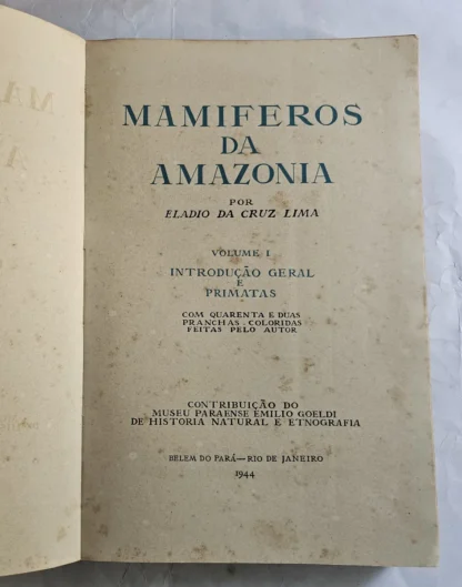 Mamíferos da Amazônia - Image 3