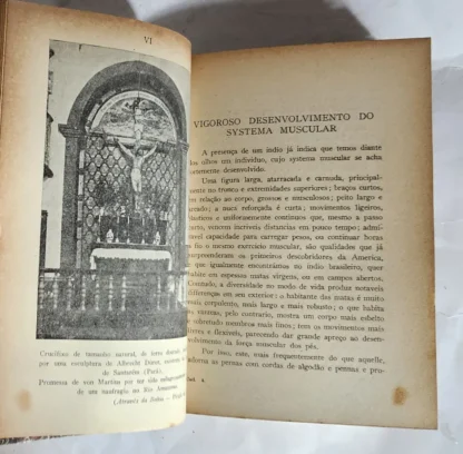 Natureza, Doenças, Medicina E Remédios Dos Índios Brasileiros - Image 4