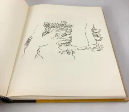36 Crônicas - Confraria dos Bibliófilos do Brasil - Image 4