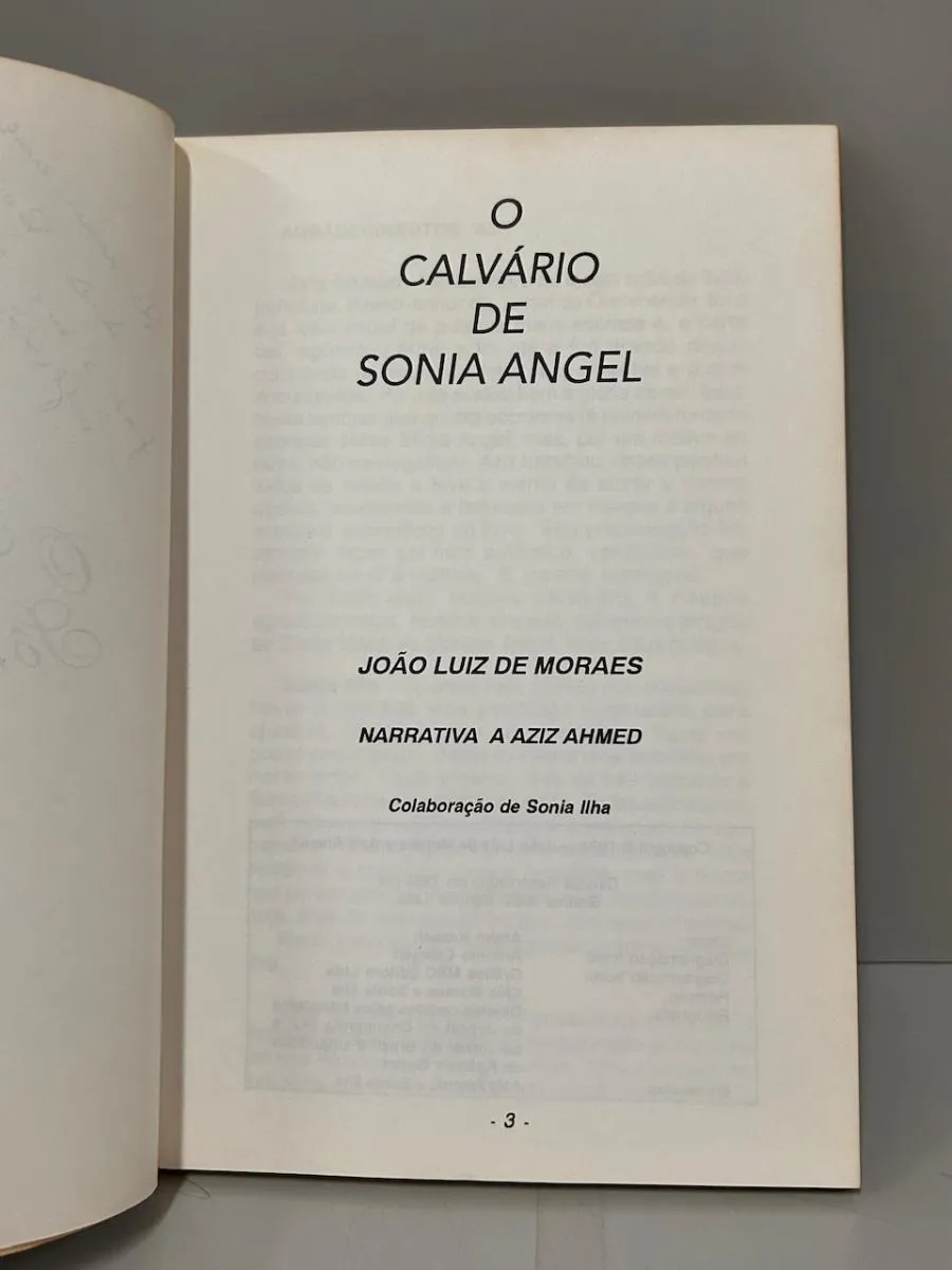 O Calvário De Sônia Angel - Image 2