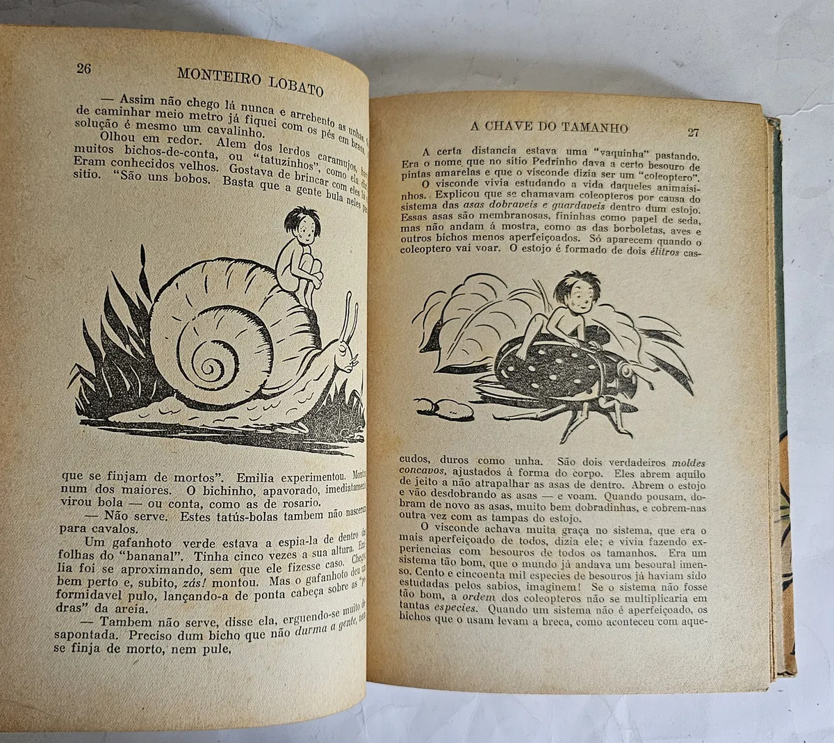 A Chave Do Tamanho - 1ª Edição - Image 3