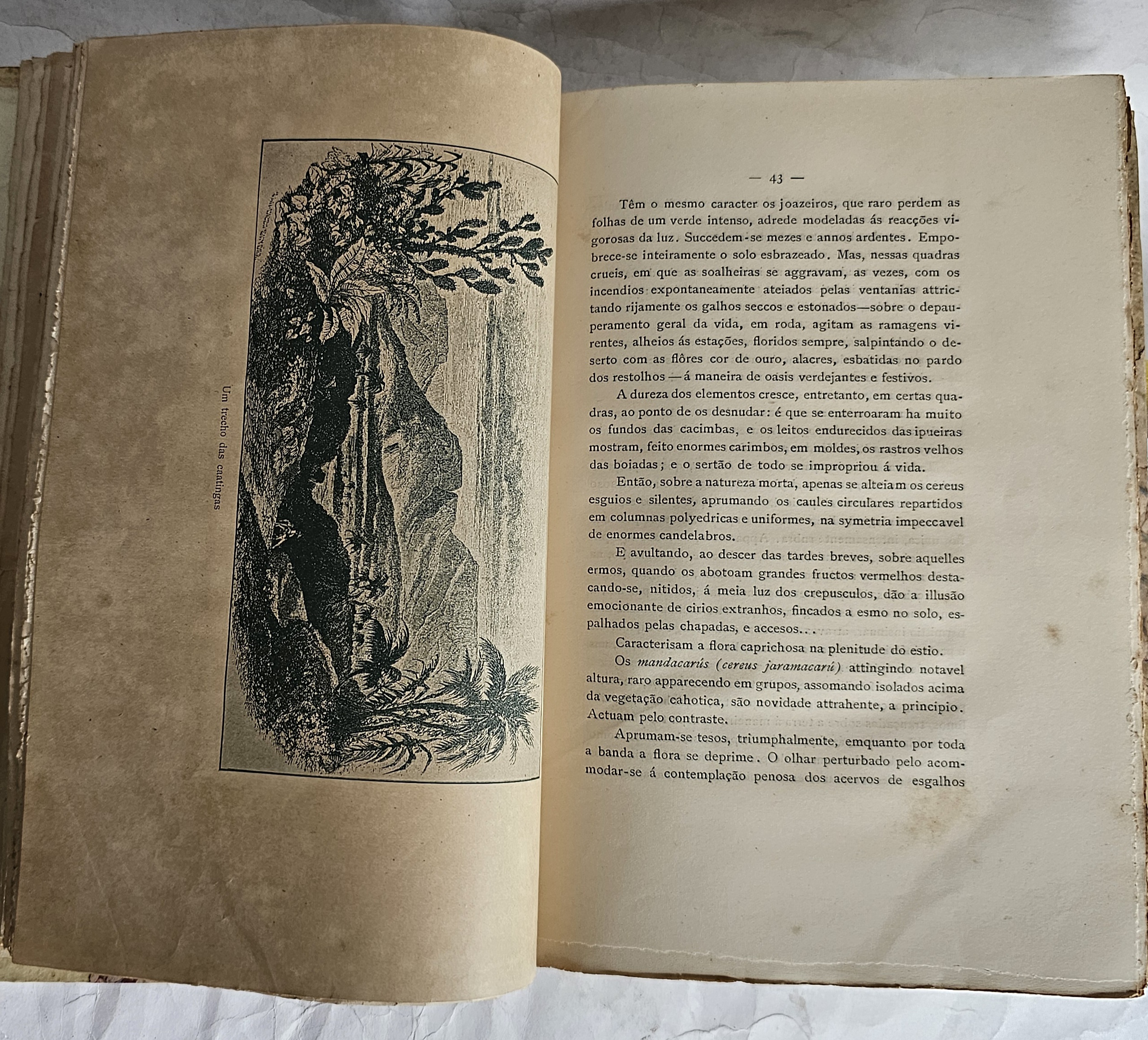 Os Sertões - 1ª Edição - Image 5