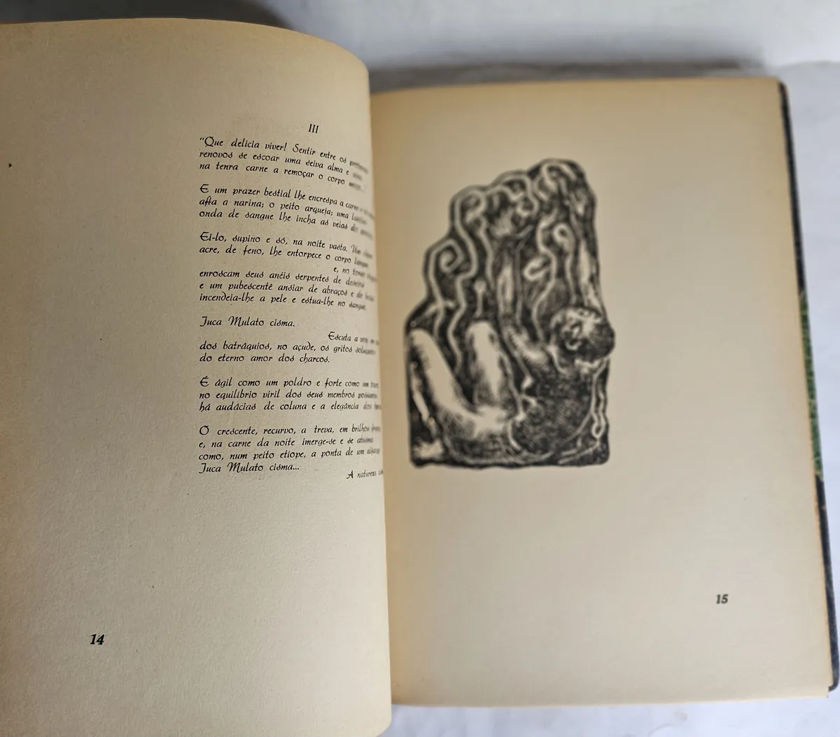 Juca Mulato - Ilustrado - Image 4