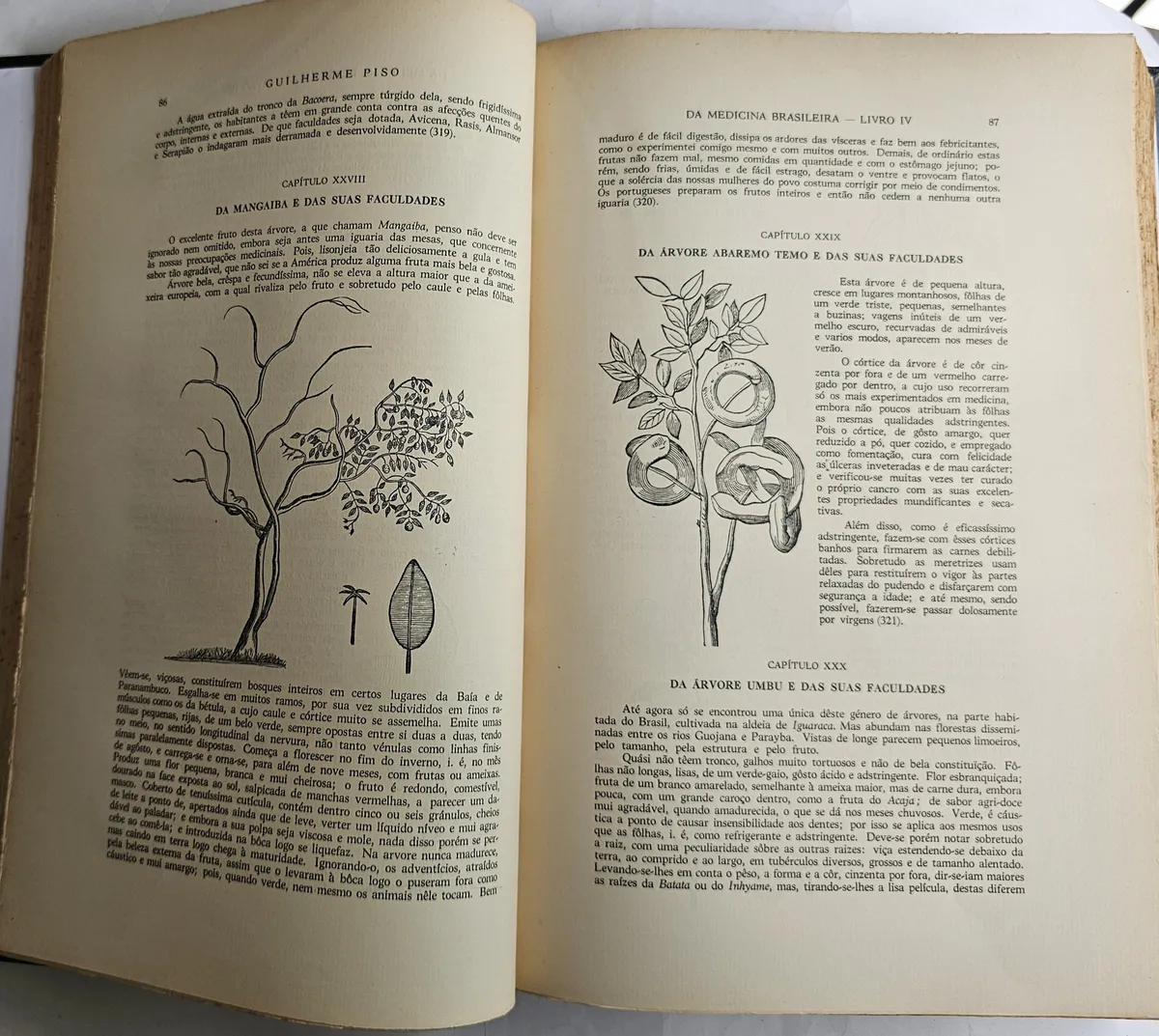 História Natural Do Brasil Ilustrada - Image 4