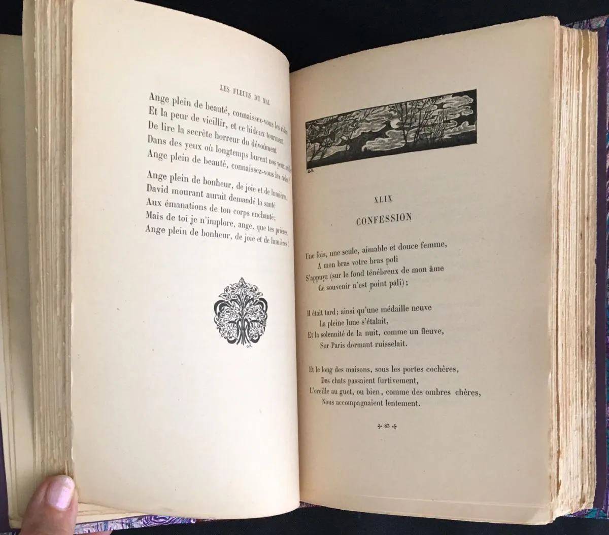 Les Fleurs Du Mal - Image 4