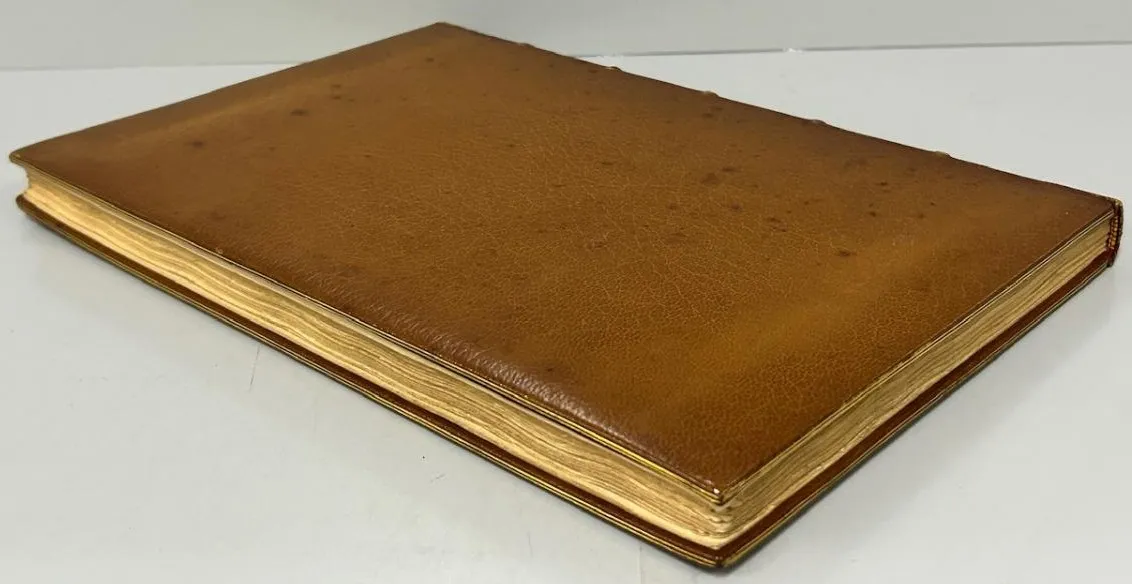 La Chaine D' Or - Image 7