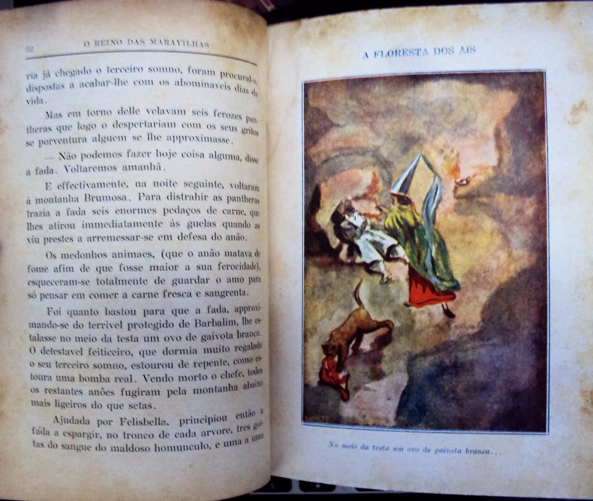 No Reino das Maravilhas - 1ª Edição - Image 3