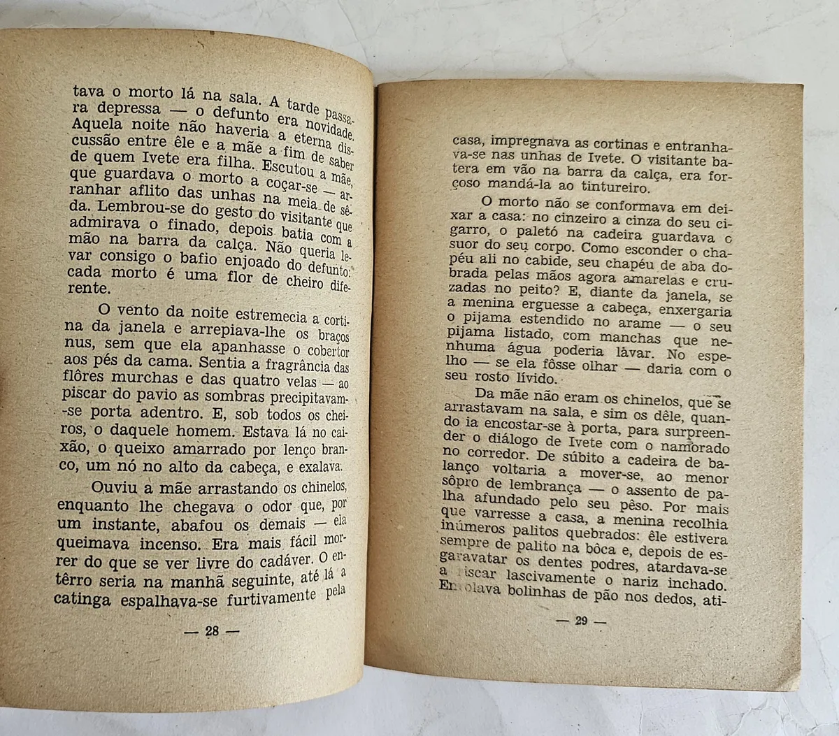 A Velha Querida - 1ª Edição - Image 3