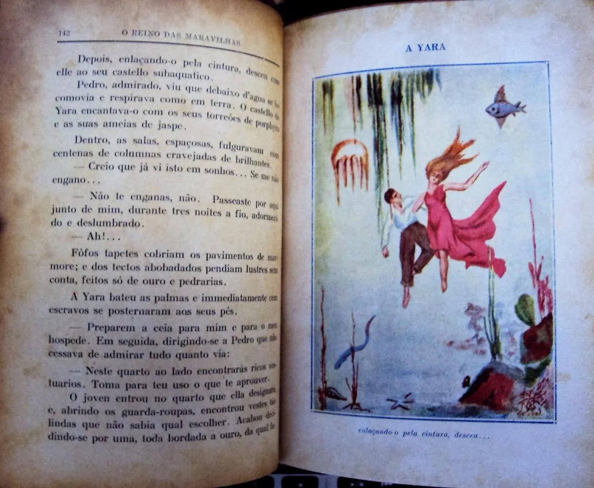 No Reino das Maravilhas - 1ª Edição - Image 4