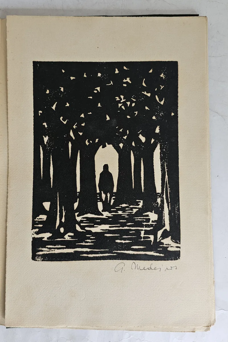 Ode Equatorial - Image 3