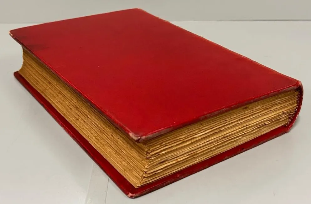 São Jorge Dos Ilhéus - Exemplar Especial - Image 6